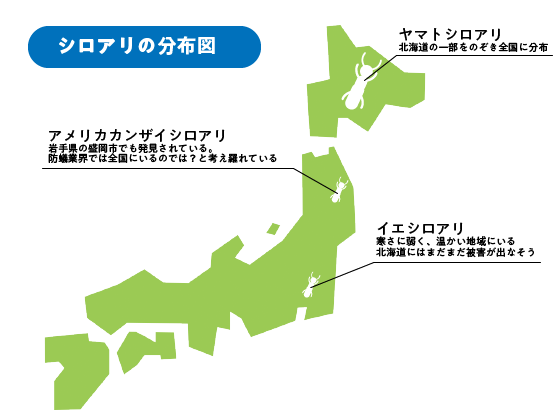 シロアリの分布図